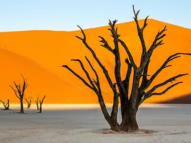 Sossusvlei & Deadvlei