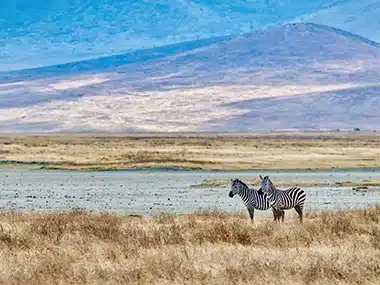 The Masai Mara National Reserve