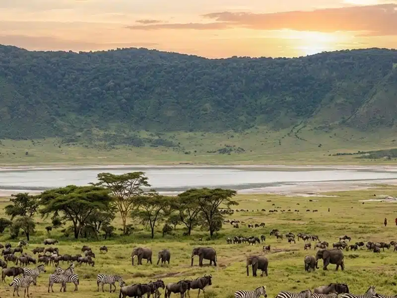 The Ngorongoro Crater